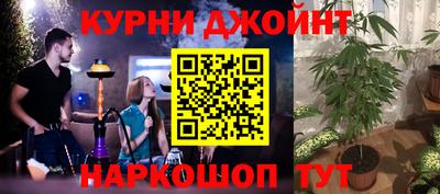 индика Обнинск
