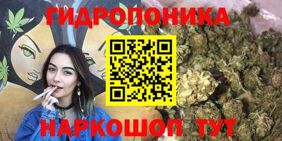 apvp Обь
