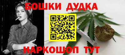 индика Обнинск