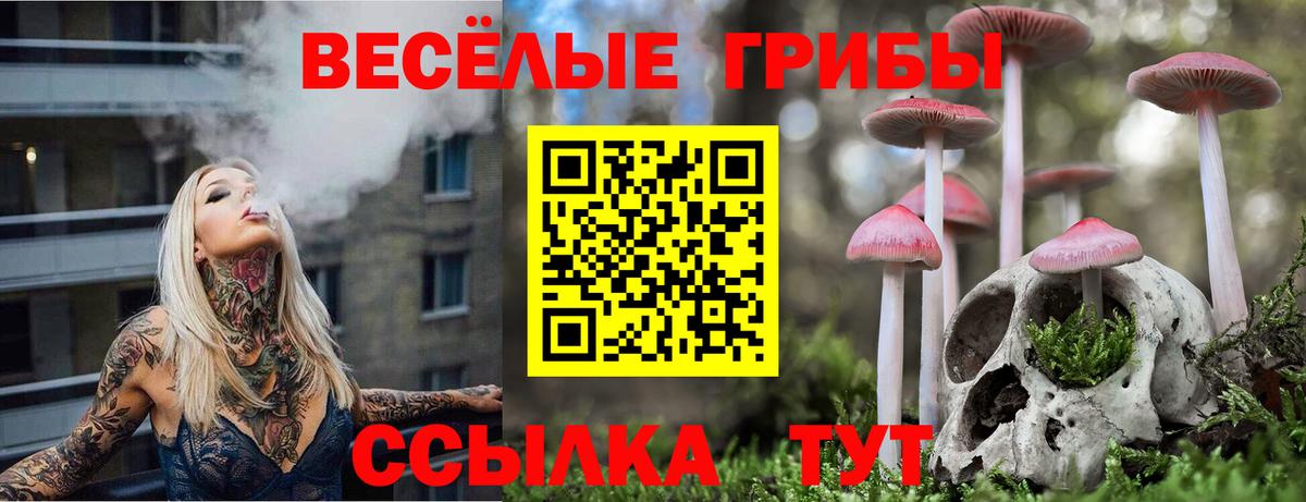 Узловая  Псилоцибиновые грибы Psilocybine cubensis  Галлюциногенные грибы MAGIC MUSHROOMS  закладка  Вход с VPN 